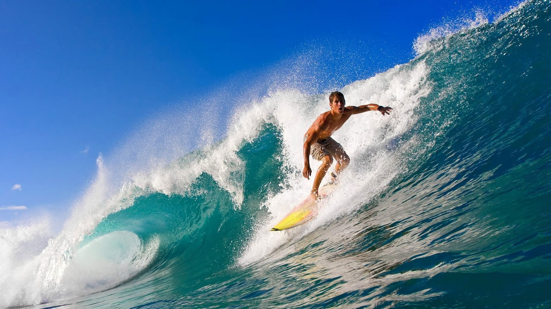 “德甲多队血战到底，冠军争夺日趋激烈”，德甲一共打几轮